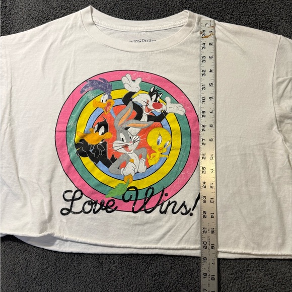 Warner Bros. Looney Tunes Distressed Rainbow Crop Tee - Picture 5 of 5
